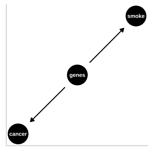 R.A. Fisher -- a pipe enthusiast, notorious asshole, eugenicist, and the father of modern statistics and population genetics was unhappy with this DAG. He argued that a **confound** could underlie the strong statistical association between smoking and lung cancer. Specifically, Fisher proposed that the propensity to smoke and to develop lung cancer could be causally unrelated, if both were driven by similar genetic factors. Fisher's causal model is presented in th DAG to the right -- here genes point to cancer and to smoking, but no arrow connects smoking to lung cancer.
