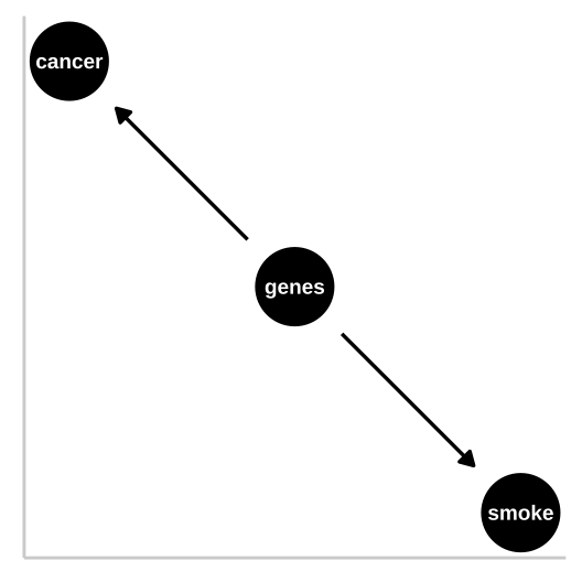 R.A. Fisher -- a pipe enthusiast, notorious asshole, eugenicist, and the father of modern statistics and population genetics was unhappy with this DAG. He argued that a **confound** could underlie the strong statistical association between smoking and lung cancer. A **confounding variable** -- *is an unmodelled variables which distort the relationship between explanatory and response variables -- can bias our interpretation*. Specifically, Fisher proposed that the propensity to smoke and to develop lung cancer could be causally unrelated, if both were driven by similar genetic factors. Fisher's causal model is presented in th DAG to the right -- here genes point to cancer and to smoking, but no arrow connects smoking to lung cancer.